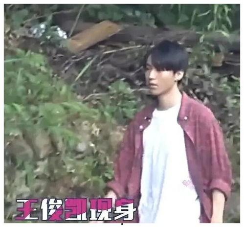 王俊凯黑粉爆料视频播放,揭秘背后真相与争议 第3张 王俊凯黑粉爆料视频播放,揭秘背后真相与争议 第3张