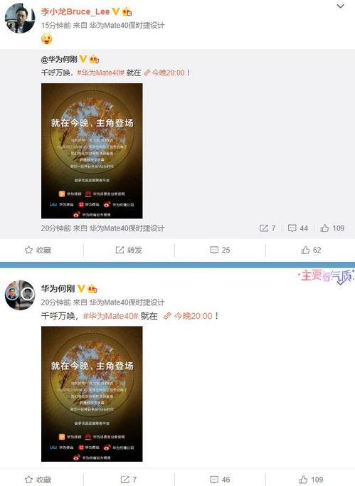 爆料小贝视频大全最新网站,最新网站爆料汇总