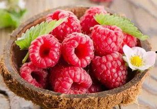 树莓最新爆料视频,揭秘神秘功能与惊艳外观  第1张